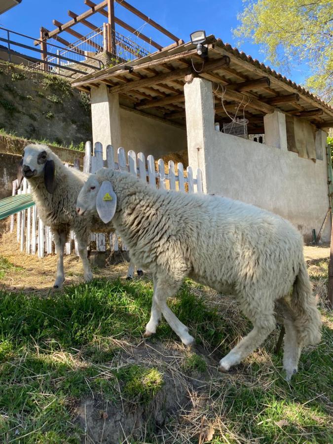 Brozolo Come Una Volta Farm מראה חיצוני תמונה